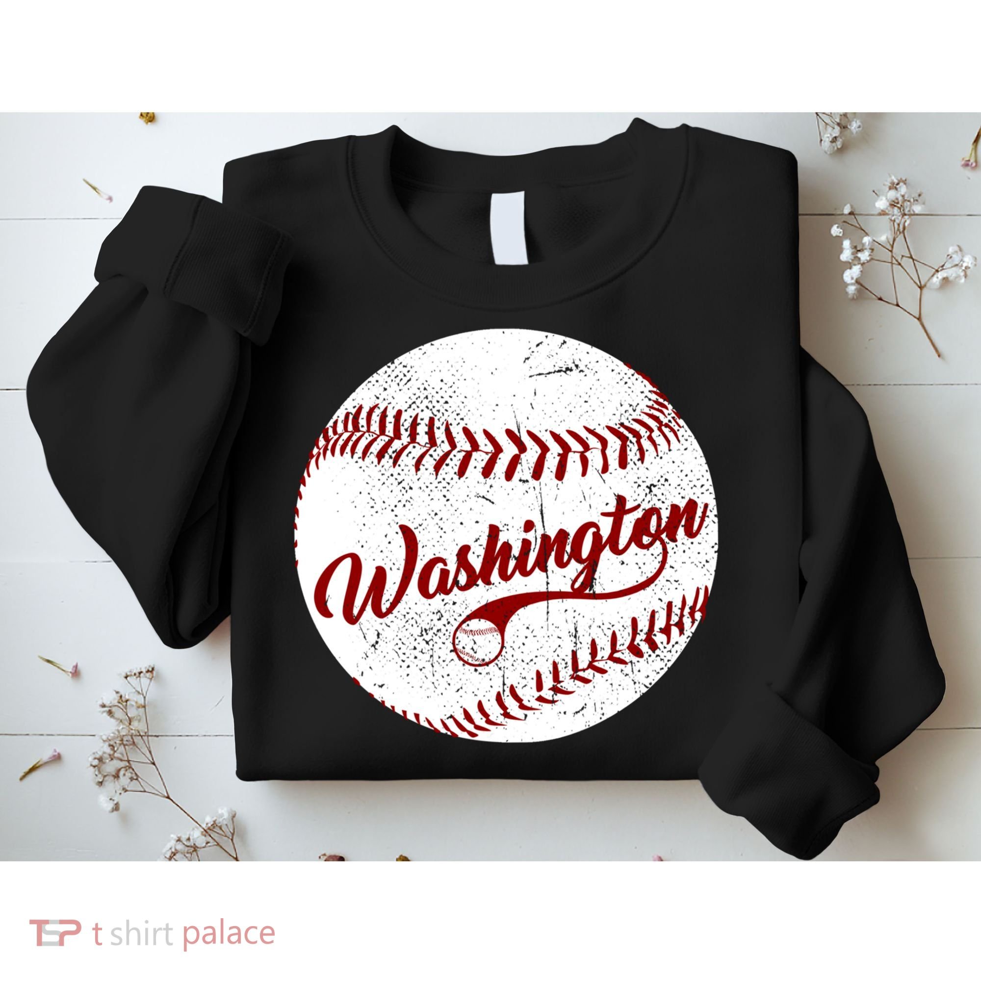 Baseball Washington Dc Team Love Baseball National Pastime Gift Sweatshirt