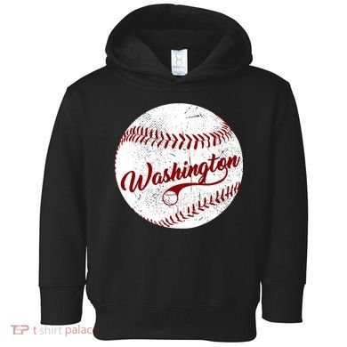 Baseball Washington Dc Team Love Baseball National Pastime Gift Toddler Hoodie