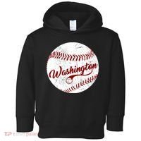 Baseball Washington Dc Team Love Baseball National Pastime Gift Toddler Hoodie thumb 0