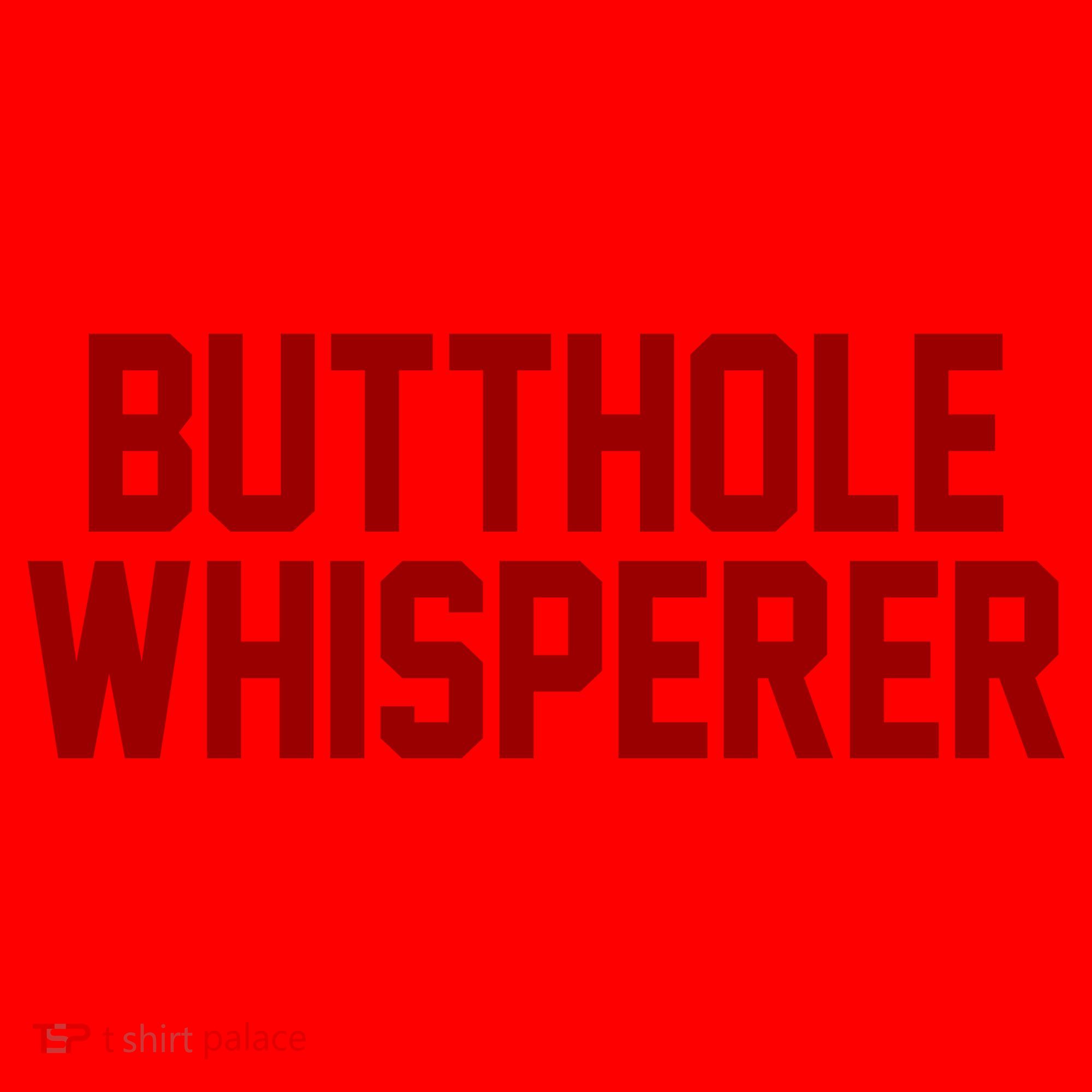 Butthole Whisperer Funny Sarcastic Joke Santa Hat