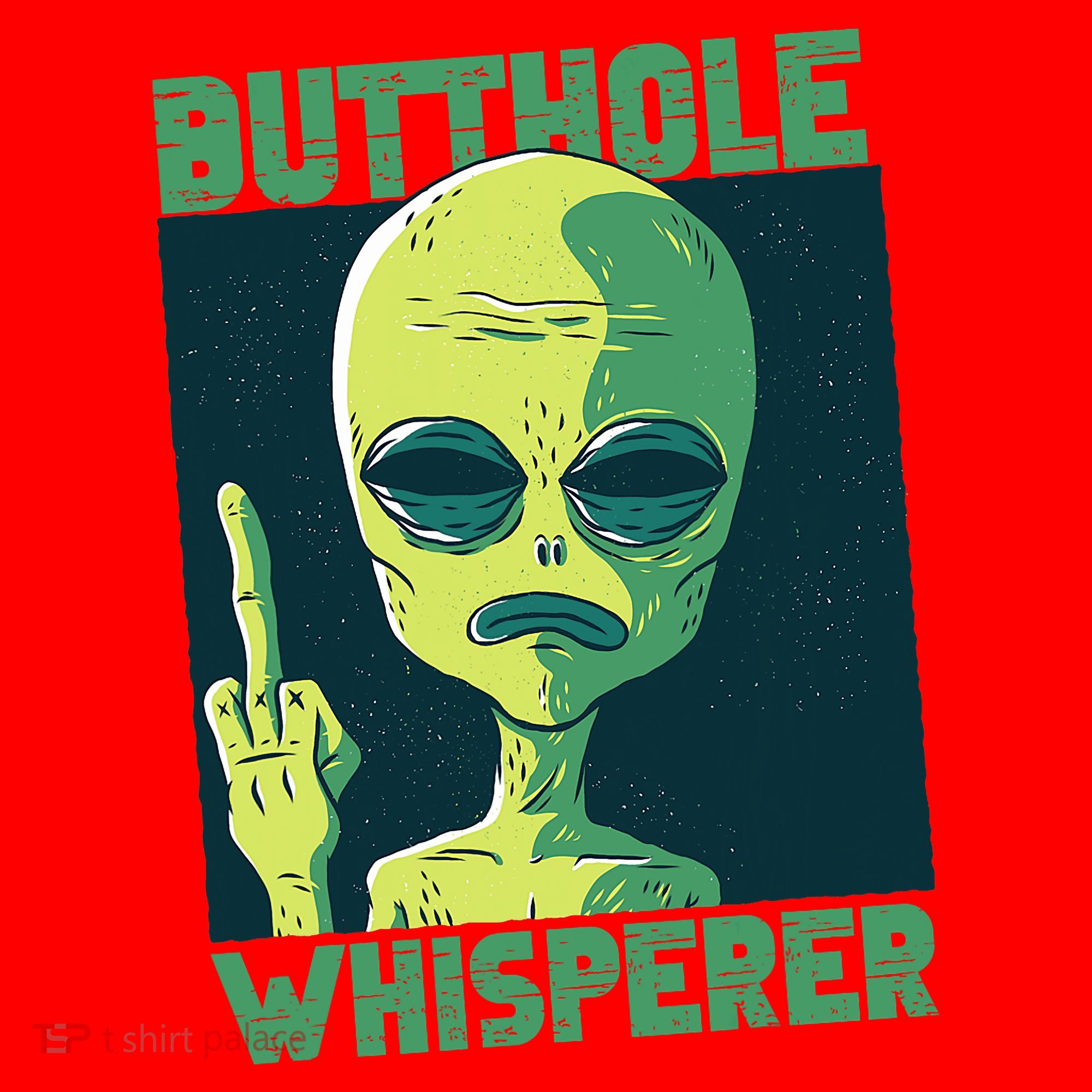 Butthole Whisperer Funny Aliens Sarcastic Adult Humour Santa Hat
