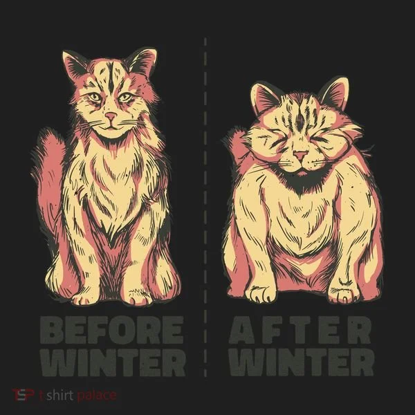 Before Winter Funny Cat Tumbler