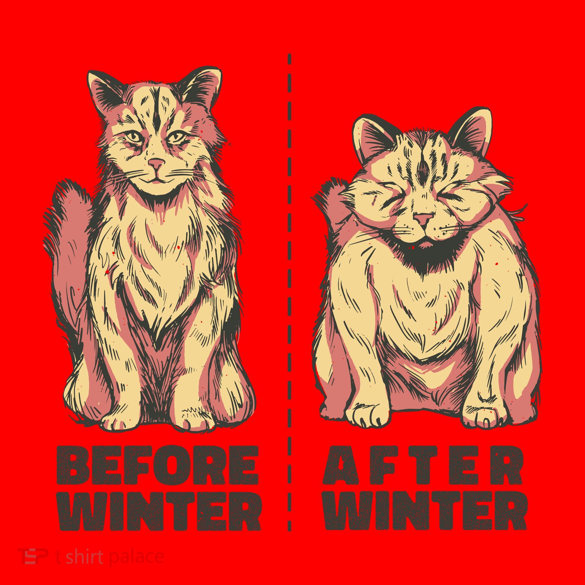 Before Winter Funny Cat Santa Hat