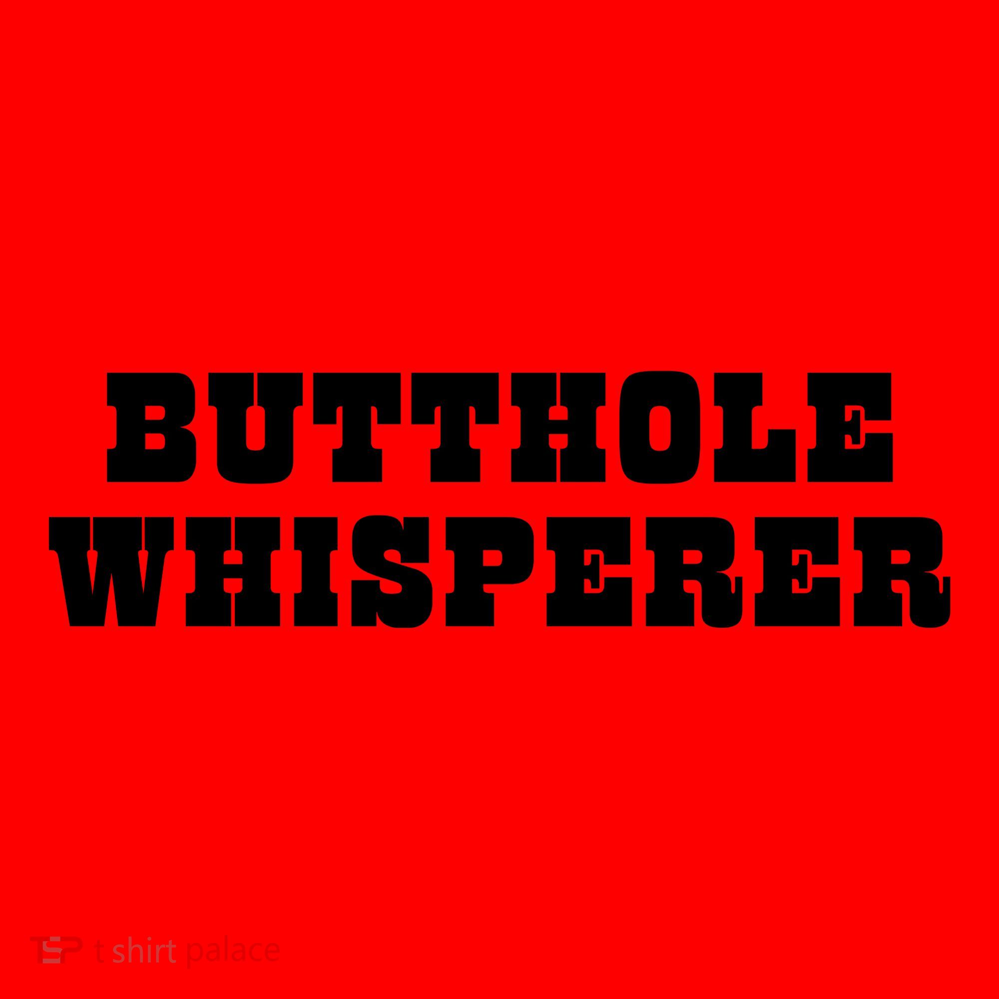 Butthole Whisperer Funny Jokes Sarcastic Santa Hat