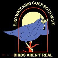 Bird Watching Goes Both Ways Bird Aren’T Real Women's Hoodie thumb 2