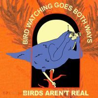 Bird Watching Goes Both Ways Bird Aren’T Real Kati Licensed 12" Camo Cuffed Beanie thumb 2