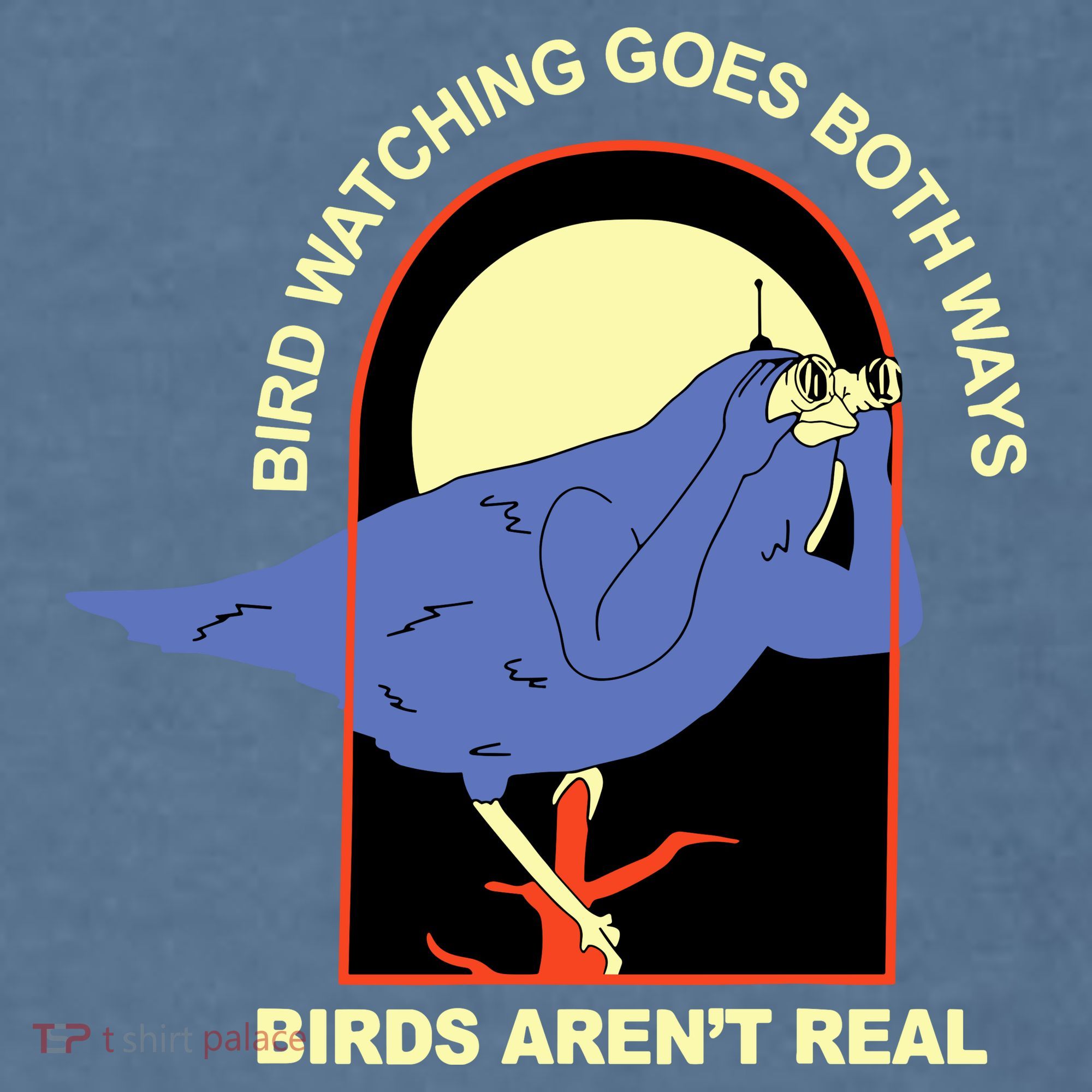 Bird Watching Goes Both Ways Bird Aren’T Real Comfort Colors Garment-Dyed Hooded Sweatshirt