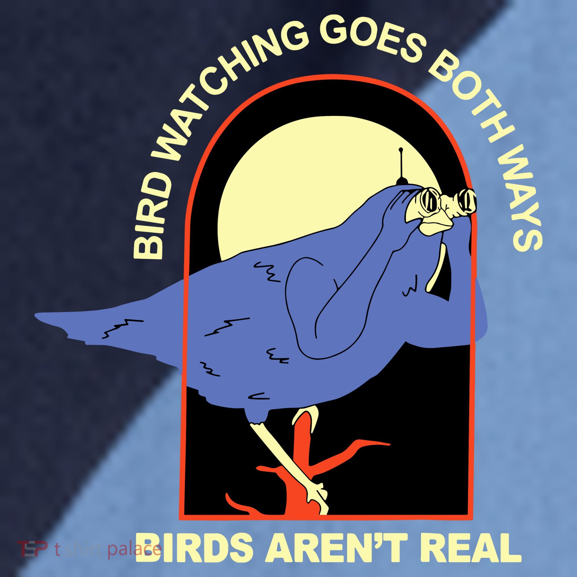 Bird Watching Goes Both Ways Bird Aren’T Real Raglan Baseball Sleeve Shirt