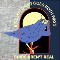 Bird Watching Goes Both Ways Bird Aren’T Real Kids Colorblock Raglan Jersey thumb 2