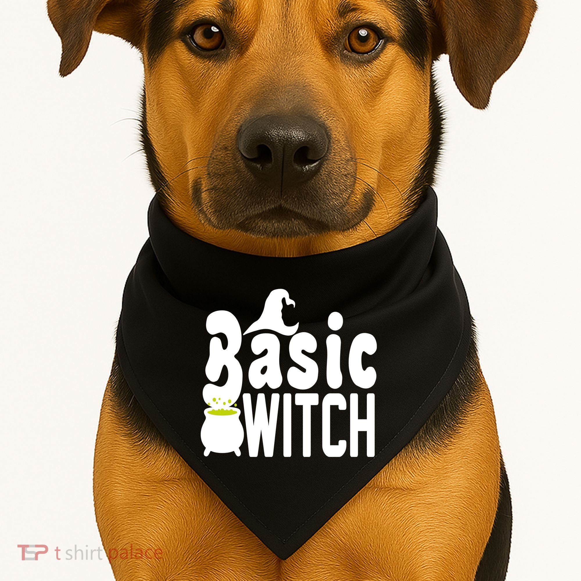 Basic Witch Halloween Funny USA-Made Doggie Bandana