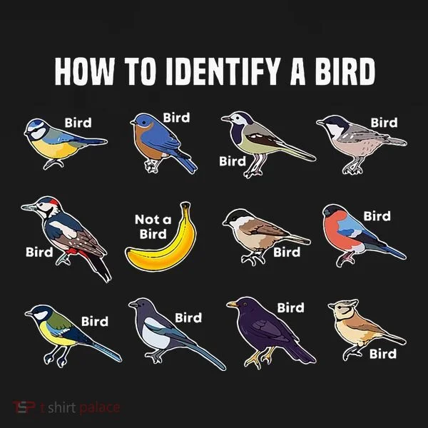 Bird Watcher How To Identify A Bird Unique Birder Button