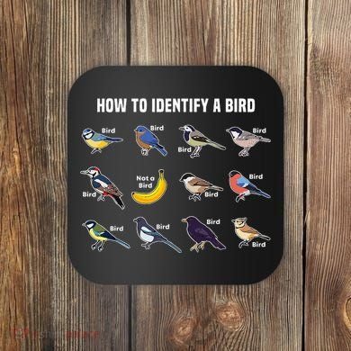 Bird Watcher How To Identify A Bird Unique Birder Coaster