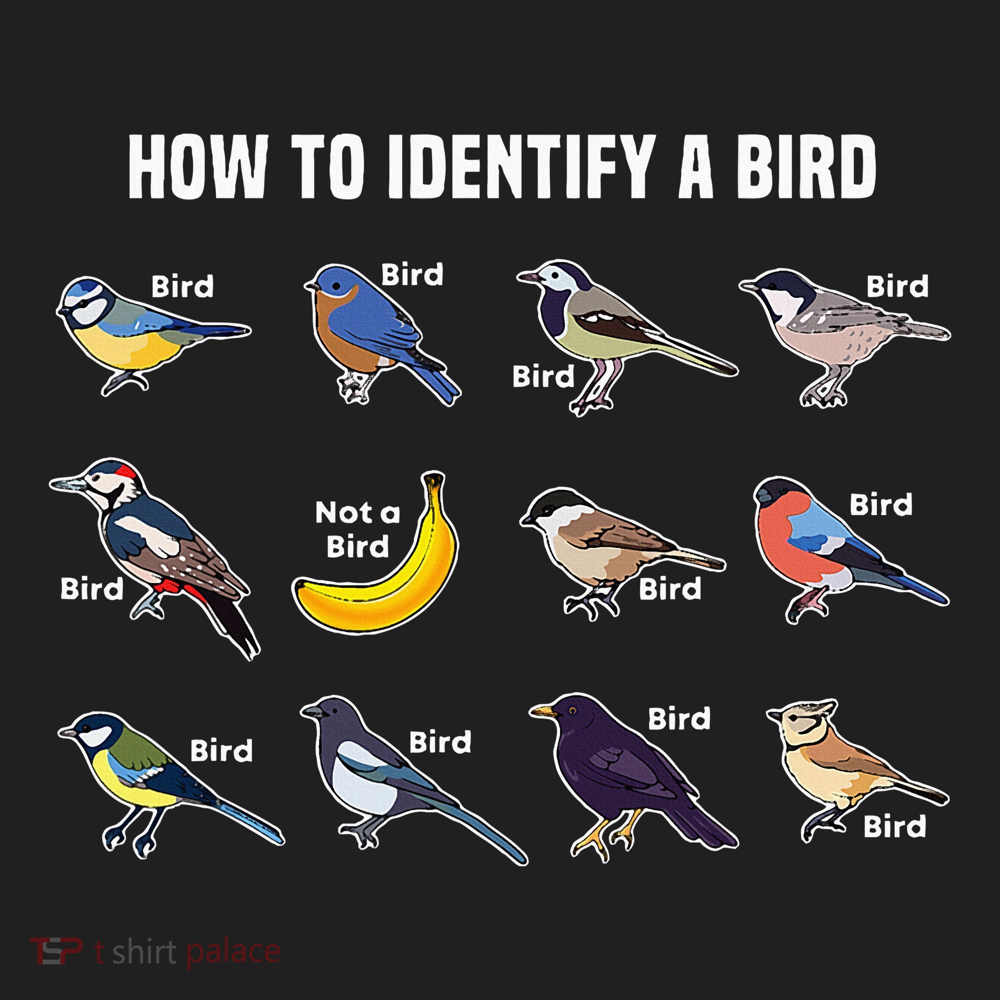 Bird Watcher How To Identify A Bird Unique Birder Tumbler