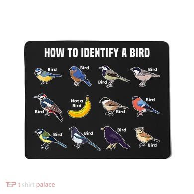 Bird Watcher How To Identify A Bird Unique Birder Mousepad