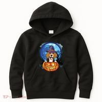 Beagle Witch Hat Pumpkin Scary Halloween Dog Lovers Kids Hoodie thumb 0