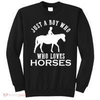 Boy Who Loves Horses Equestrian Horse Riding Gift For Boys Gift Sweatshirt thumb 0
