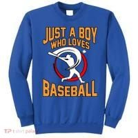 Boy Who Loves Baseball Sports Player Lover Coach Graphic Gift Sweatshirt thumb 0