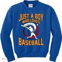 Boy Who Loves Baseball Sports Player Lover Coach Graphic Gift Kids Sweatshirt thumb 0