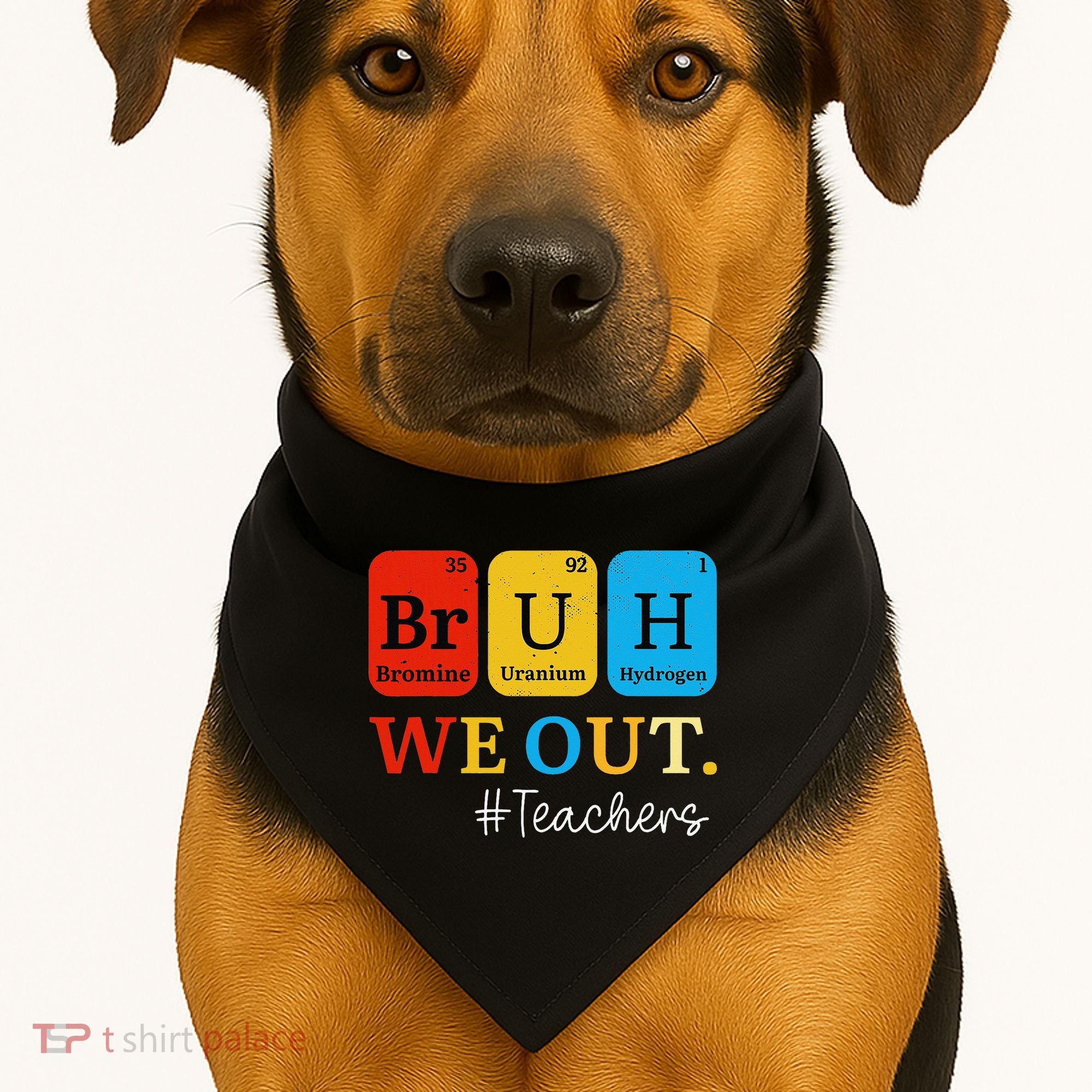 Bruh We Out Teachers Periodic Table Elements USA-Made Doggie Bandana