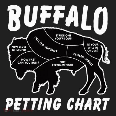 Buffalo Wildlife Petting Chart Ladies Heavyweight Boxy Pullover Hoodie