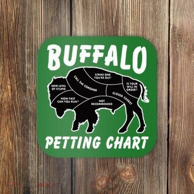 Buffalo Wildlife Petting Chart Coaster
