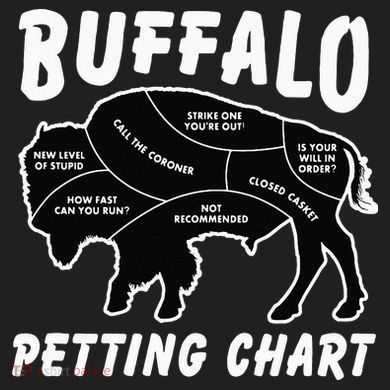 Buffalo Wildlife Petting Chart For Bison Lovers Ladies Heavyweight Boxy Pullover Hoodie