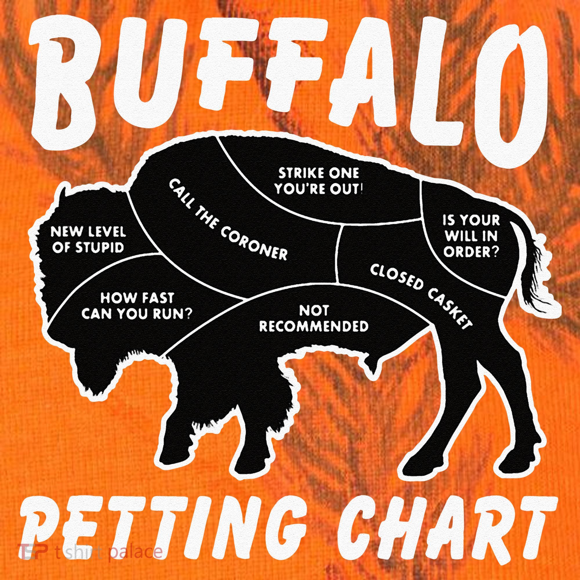 Buffalo Wildlife Petting Chart For Bison Lovers Kati Licensed 12" Camo Cuffed Beanie