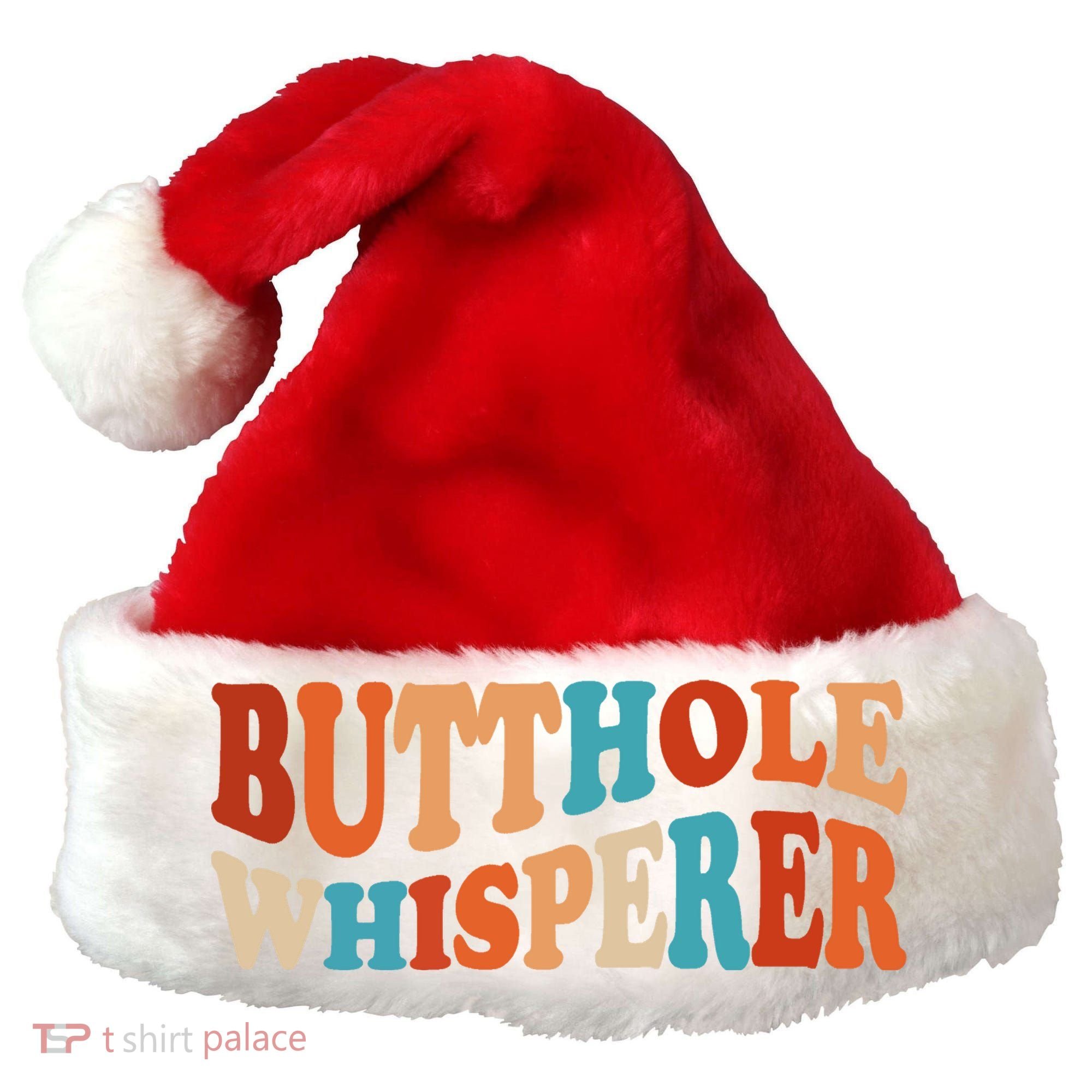 Butthole Whisperer Retro Sarcastic Jokes Funny Santa Hat