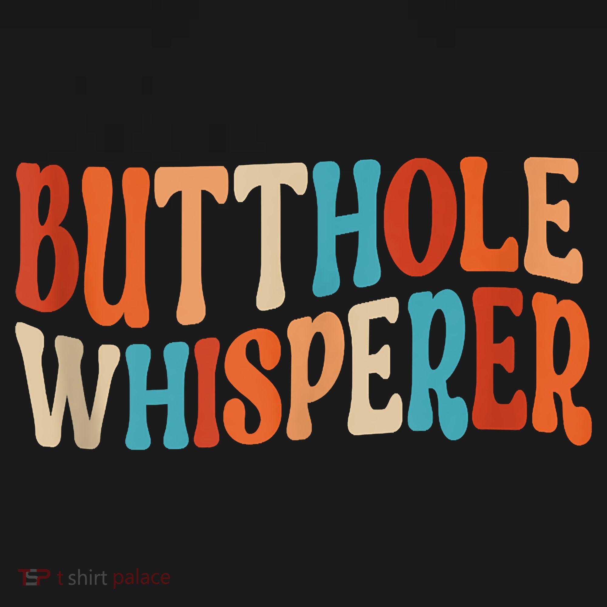 Butthole Whisperer Retro Sarcastic Jokes Funny Kids Sweatshirt