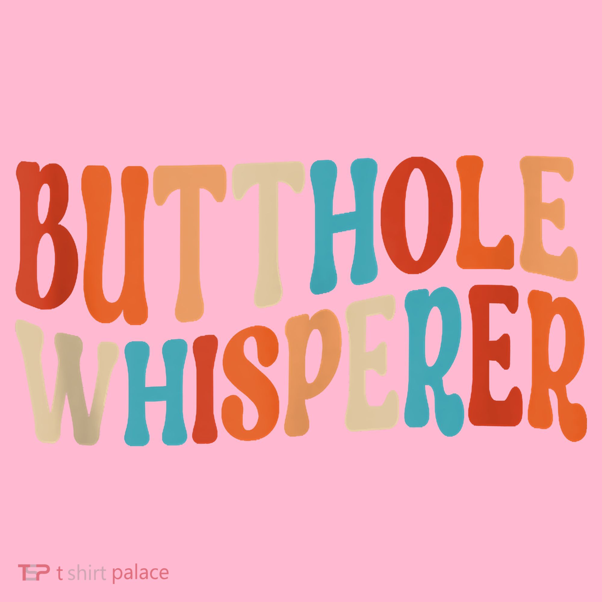 Butthole Whisperer Retro Sarcastic Jokes Funny Coaster
