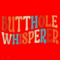 Butthole Whisperer Retro Sarcastic Jokes Funny Santa Hat thumb 1