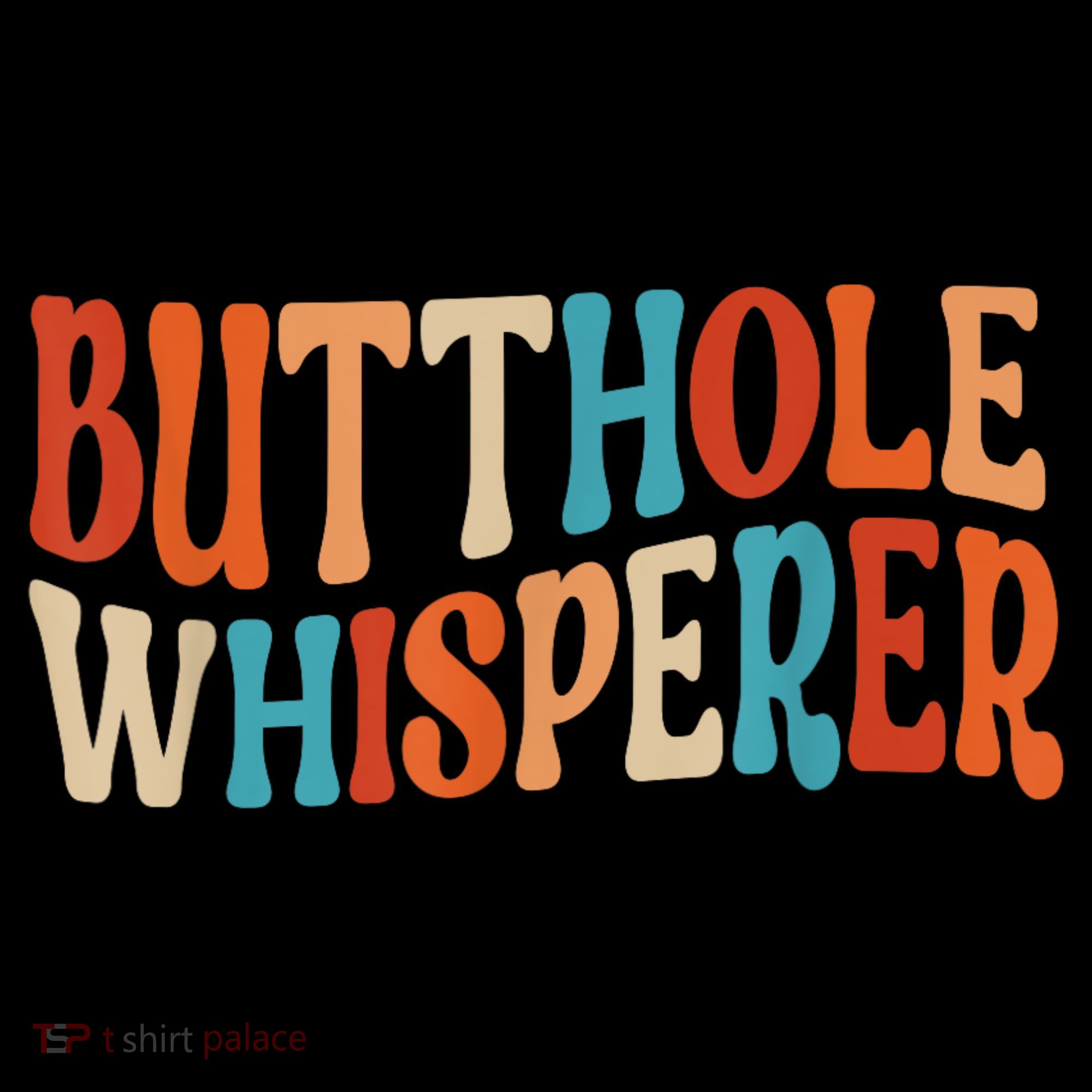 Butthole Whisperer Retro Sarcastic Jokes Funny Gift Women's Hoodie