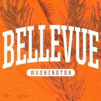 Bellevue Washington Souvenirs College Style Bellevue Washington Souvenir Gift Kati Licensed 12" Camo Cuffed Beanie thumb 2