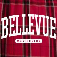 Bellevue Washington Souvenirs College Style Bellevue Washington Souvenir Gift Men's Flannel Plaid Pajama Pants thumb 2
