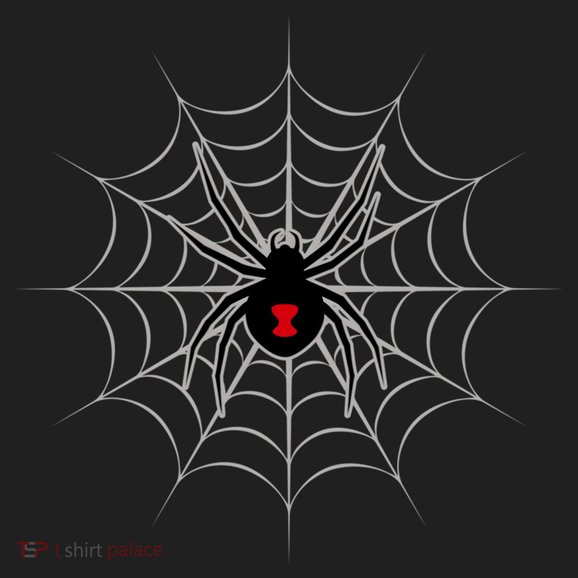 Black Widow Spider Cobweb Spooky Gift Beanie