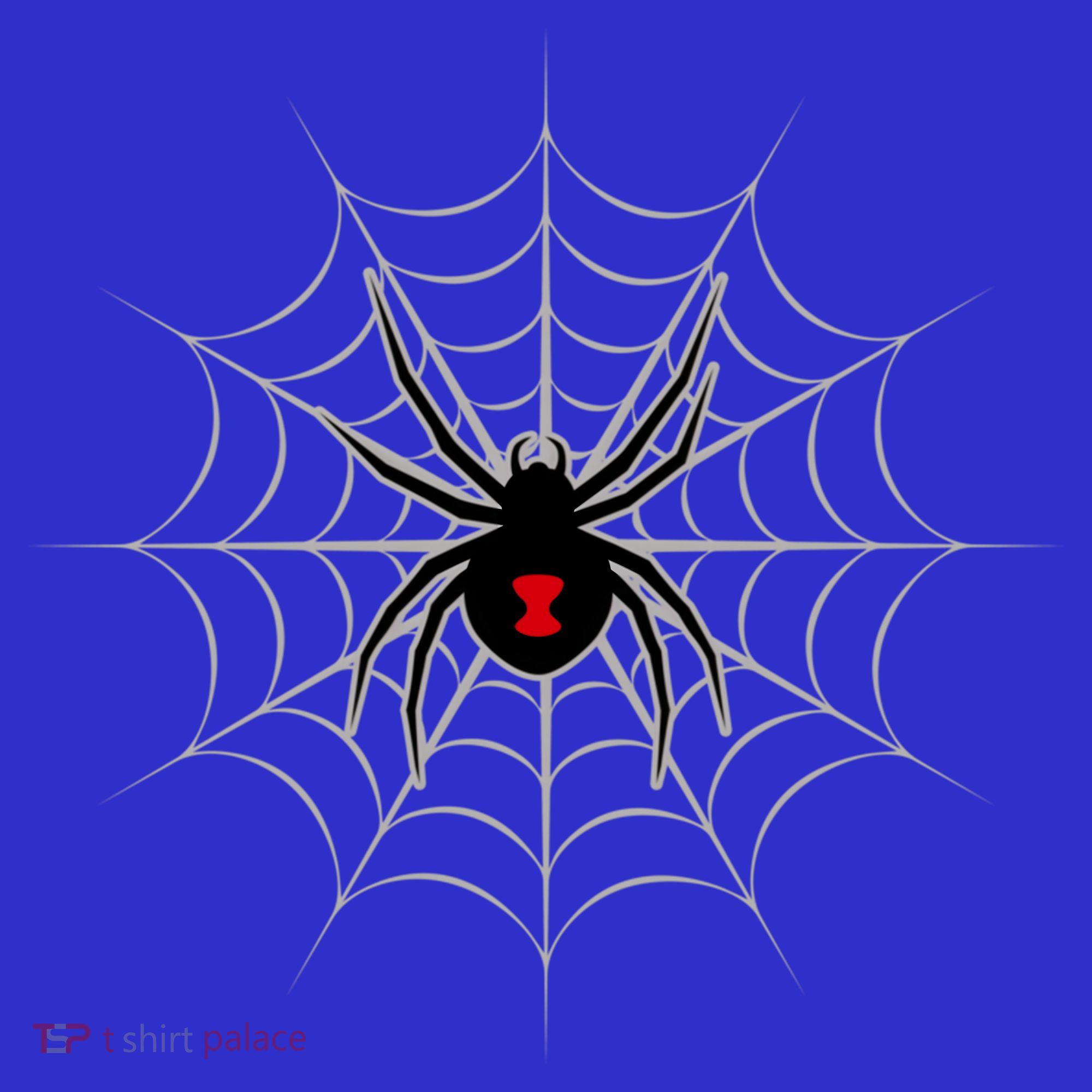 Black Widow Spider Cobweb Spooky Gift Kids Hoodie
