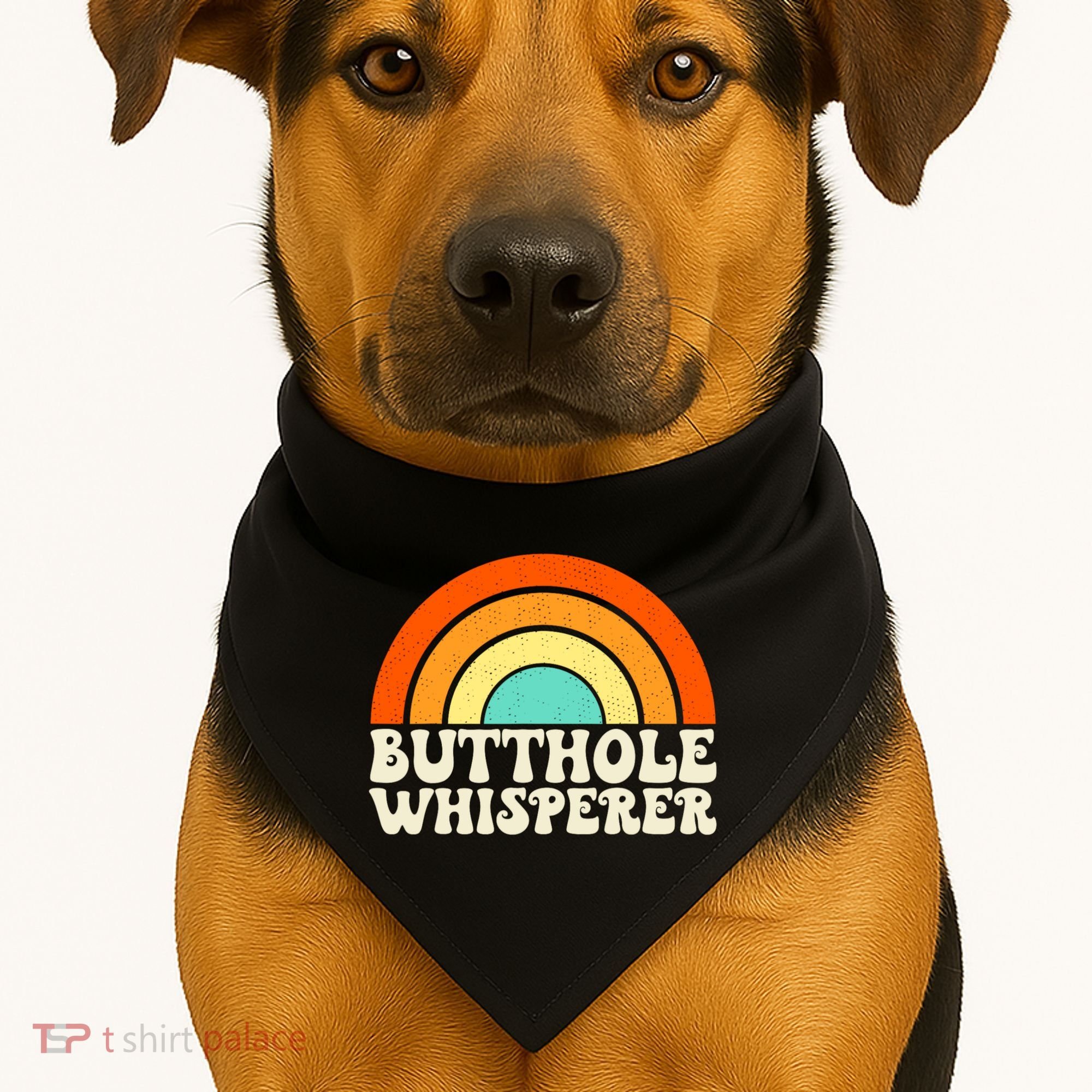 Butthole Whisperer Sarcastic Jokes Retro Groovy Rainbow USA-Made Doggie Bandana