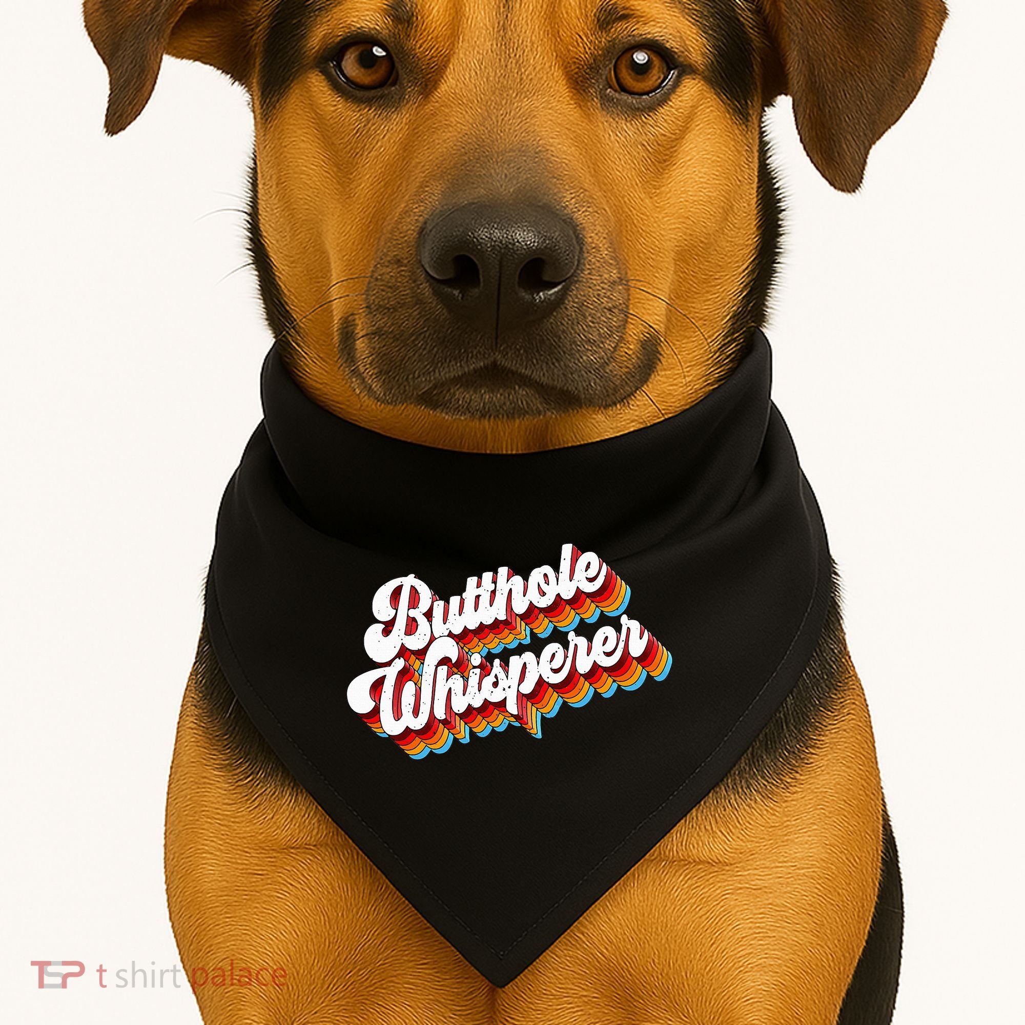 Butthole Whisperer Sarcastic Jokes Retro USA-Made Doggie Bandana