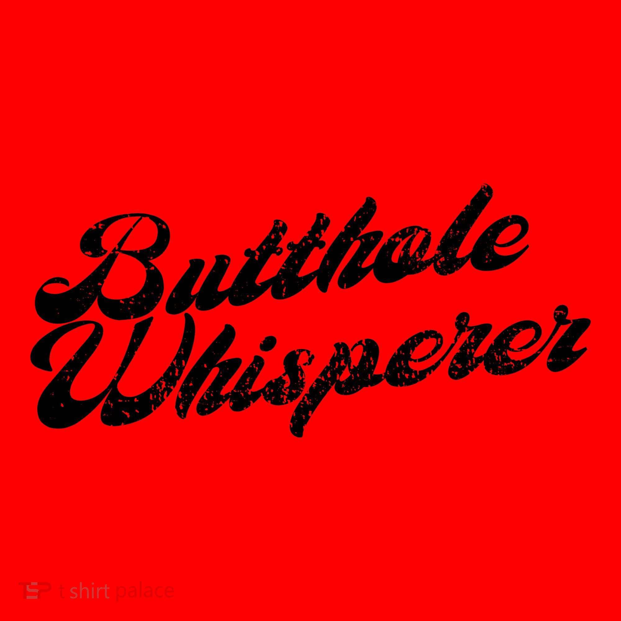 Butthole Whisperer Sarcastic Jokes Retro Funny Santa Hat