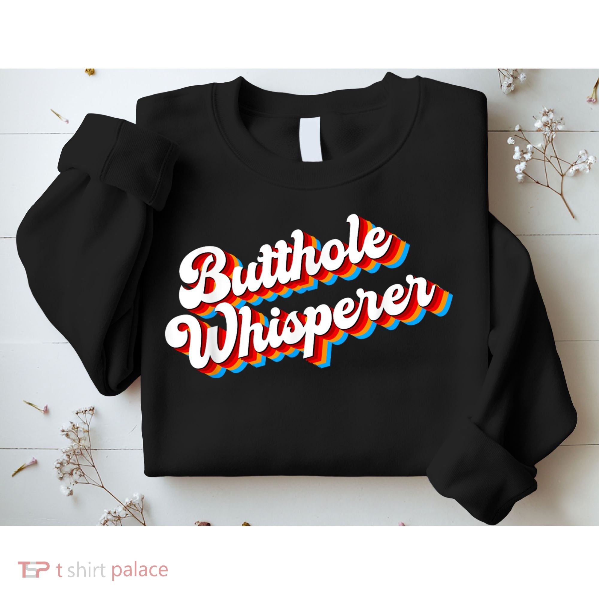 Butthole Whisperer Sarcastic Jokes Retro Funny Sweatshirt