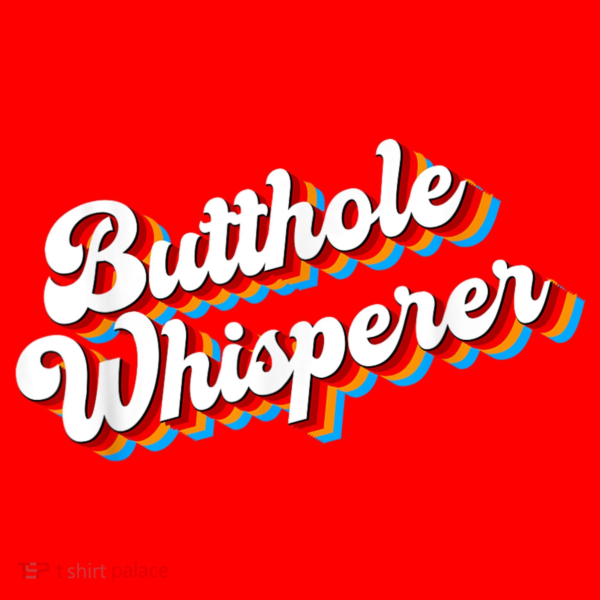Butthole Whisperer Sarcastic Jokes Retro Funny Santa Hat