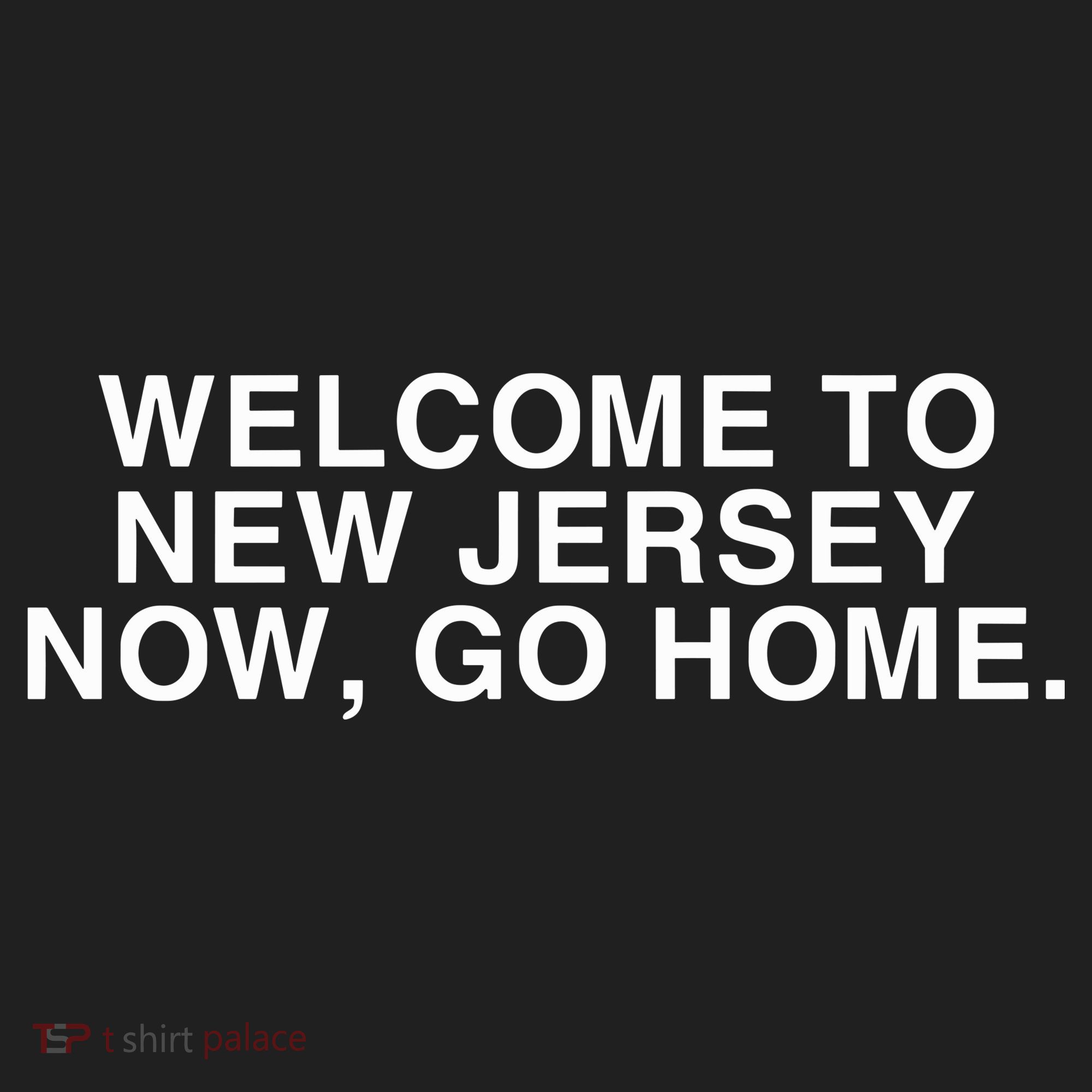 Bleachers Welcome To New Jersey Now Go Home Beanie