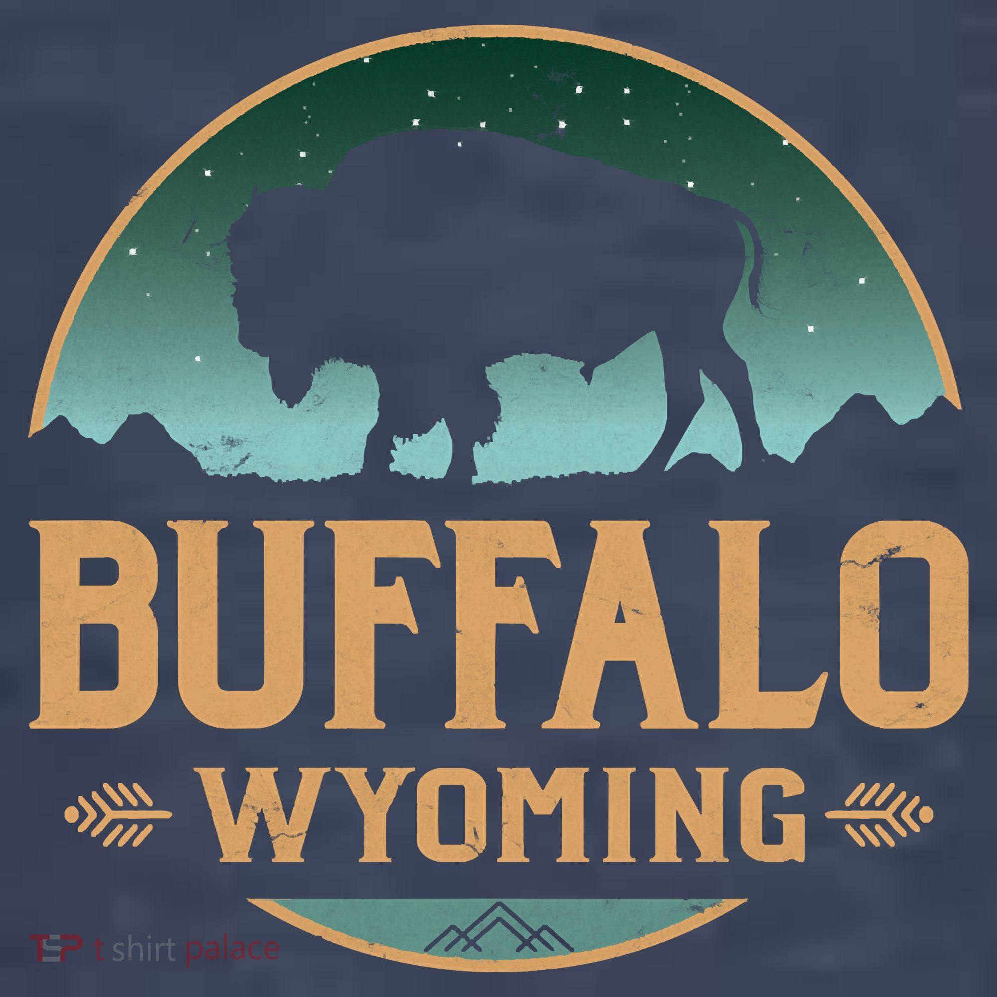 Buffalo Wyoming WY Buffalo Bison Women's T-Shirt