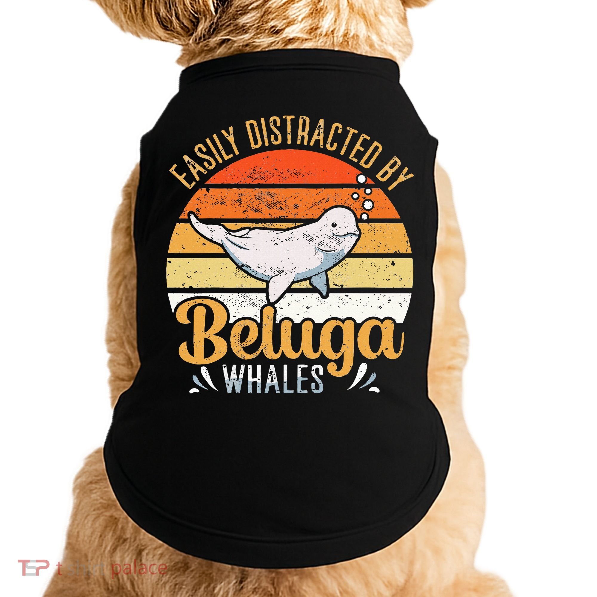 Beluga Whale White Whale Sea Canary Whale Watching Doggie Tank