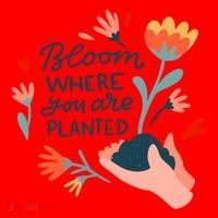 Bloom Where You Are Planted Nature Santa Hat thumb 1