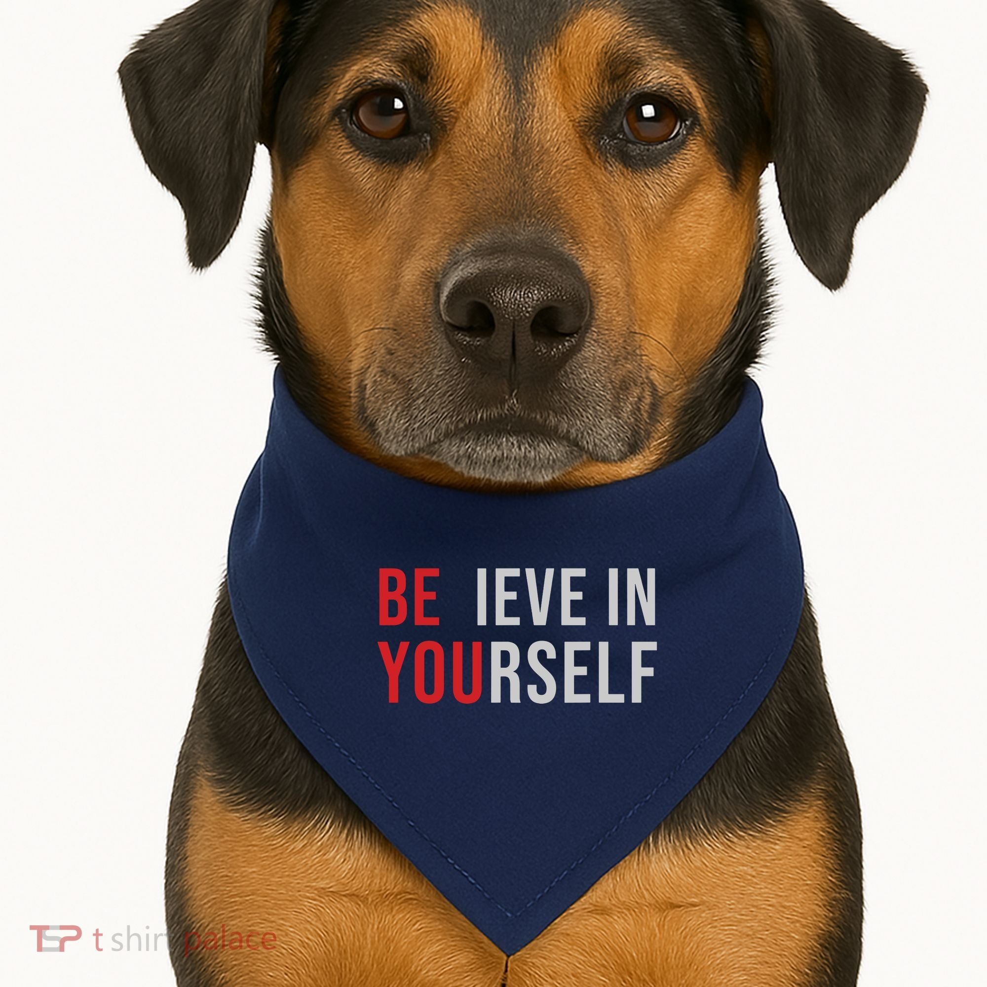 Be You Believe In Yourself Positive Quote Affirmation USA-Made Doggie Bandana