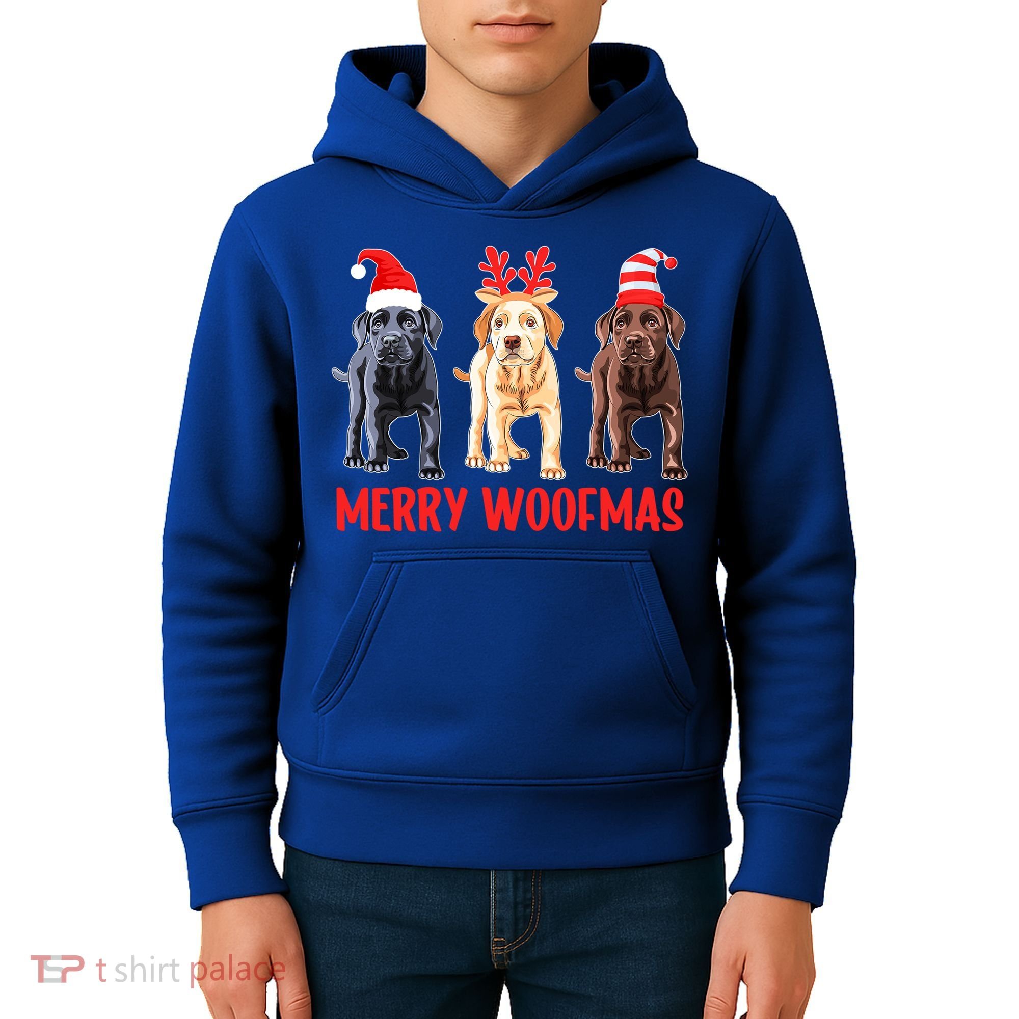 Black Yellow Chocolate Lab Christmas Labrador Merry Woofmas Gift Kids Hoodie