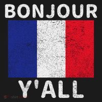 Bonjour YAll French Flag France Pride Funny Print T-Shirt thumb 7