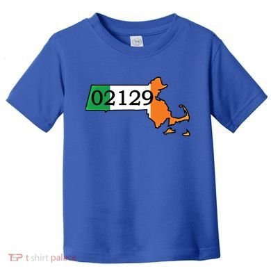 Charlestown 02129 Irish Flag Great Gift Toddler T-Shirt