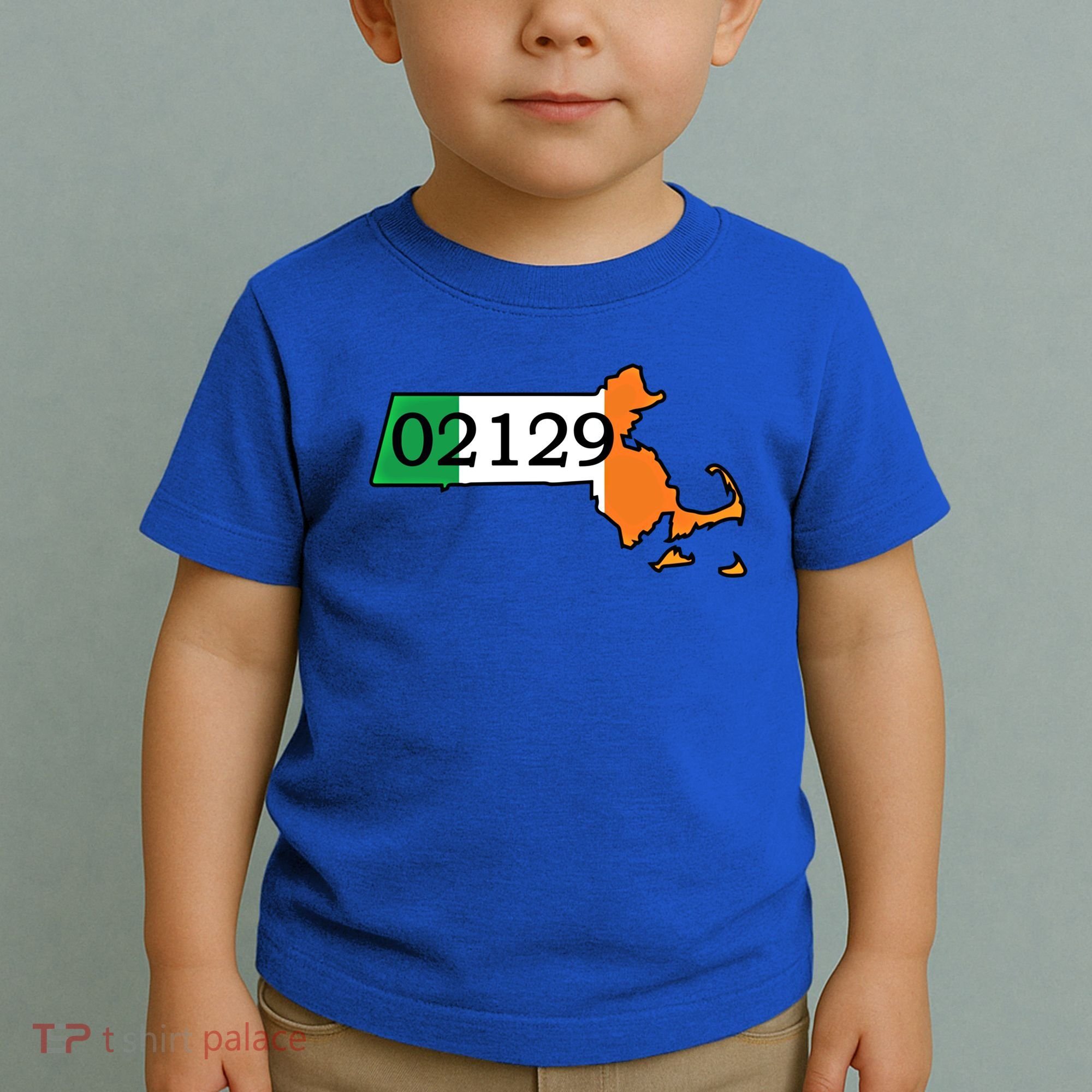 Charlestown 02129 Irish Flag Great Gift Toddler T-Shirt